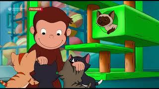15x03 George e il cucciolo smarrito