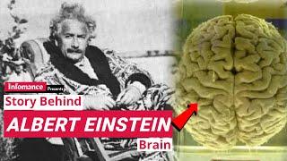 What Made Albert Einstein A Genius? Why Was Einstein So Smart? - Infomance