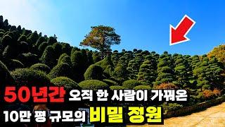 정원에 진심인 일반인 1명이 50년간 '작정하고 만든' 10만평 규모의 비밀정원 | 올해 마지막 단풍 | 당일치기 기차여행 | 국내 가볼만한곳 | 대중교통 여행