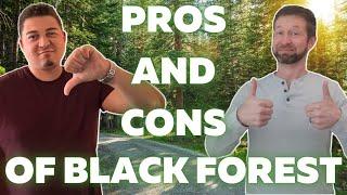 Pros And Cons Of Living In Black Forest Colorado