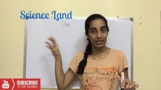 Chitin | What is chitin? | Chitin biochemistry | Science Land