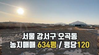 서울 강서구 오곡동 토지매매 농지매매 / 634평 평당120