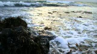Darshan Ambient - The Rapidity of Sleep - www.jhanamusic.com