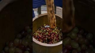 Making traditional home made wine