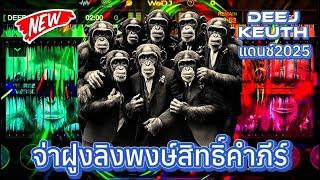 #สายปาร์ตี้ 2025_ พงษ์สิทธิ์ คำภีร์ - ลิง แดนช์#กำลังฮิตในtiktok #มาใหม่ล่าสุด #djremix #กำลังดัง