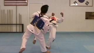 Olympic Style Taekwondo Sparring Technique Sampler |  TaekwonWoo