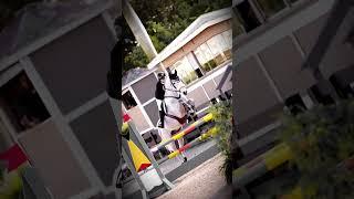 Made mah edit ehheh :33 (@EquineEditsOfficial ec !!)