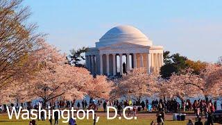 Washington D.C., USA - awesome capital during cherry blossom season and Arlington National Cemetery