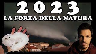 2023 - LA FORZA DELLA NATURA