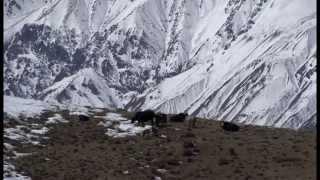 The Last Yak Herder of Dhe- Part 1