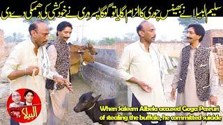 When Saleem Albela accused Goga Pasruri of stealing the buffalo, he committed suicide