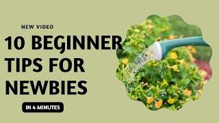 10 Tips for Beginner Gardeners