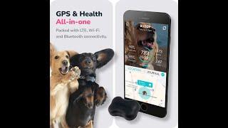 FitBark GPS Dog Tracker 2nd Gen: A Comprehensive Review #petlover #pets #pet #petrol