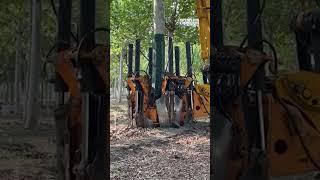 Tree Removing Machine Gets the Job Done