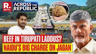 Tirupati Laddus Controversy: Massive Row Over Beef Fat & Fish Oil In Prasad | Jagan Vs Naidu