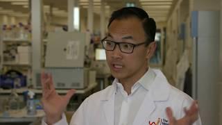 Can it be cured? Associate Professor James Chong on using stem cells to treat heart failure.