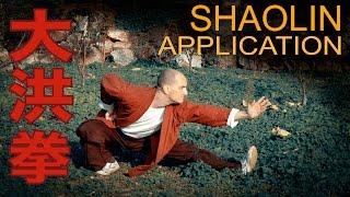 Shaolin Da Hong Quan Practical Application