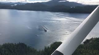 Sightseeing by floatplane at tofino BC