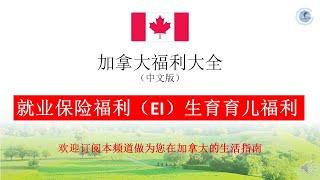 就业保险福利（EI）之生育和育儿福利