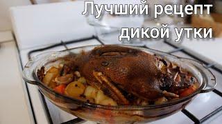 Лучший Рецепт дикой утки.