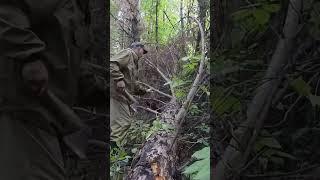 I'm building a hermit's hut in the taiga #shorts