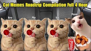 Cat Memes: Roadtrip Compilation Full 4 Hour