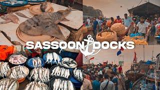 Sassoon Dock Fish Market | Mumbai's Oldest Fish Market at Colaba