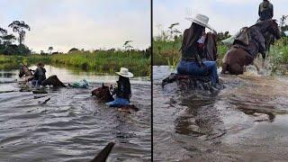 ENFRENTANDO O PERIGO PARA CUIDAR DA BOIADA