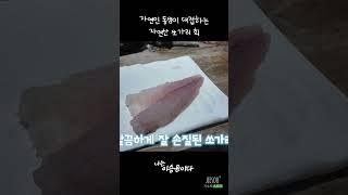 자연인이 떠주는 자연산 쏘가리 회