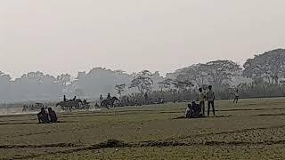 sylhet horse race 