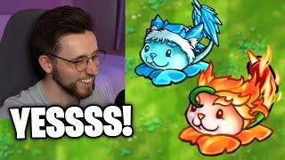 Losing My Mind Over Cattail Fusions