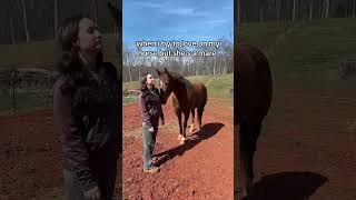she’ll be anyone’s friend for some treats  #western #horse #equestrianjourney #horsegirl