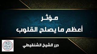 مـؤثـر، أعــظــم مـا يـصـلـح الـقـلـوب | الشيخ محمد المختار الشنقيطي