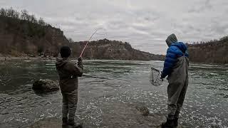 Рыбалка в Торонто | Форель на реке Ниагара | Steelhead | Онтарио | Канада |