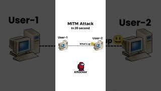 MITM Attach  FTP, SMTP Networking Transferred Data