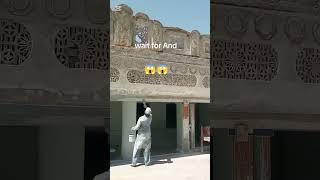 #new#dzain#rangsaaz#newvideo #Arp3 #2025ke #fullvira#unfrezzmyaccount