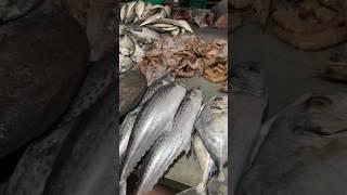 Panvel Fish Market  #shortvideo #shorts #youtubeshorts #viral #fishing #fish #explore