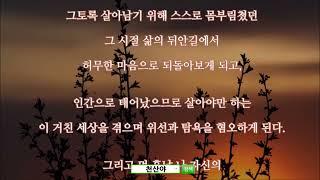 아난존자와 정법1 5 6 매듭, 7 삶의 의미, 8 따라 하면 안되는 것