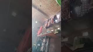 Nidhi Verma is live
