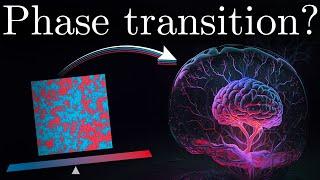 Brain Criticality - Optimizing Neural Computations