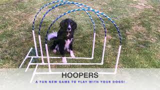 Introduction to Hoopers
