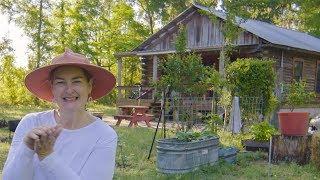 A Tour of My Homestead and Chicken Coop