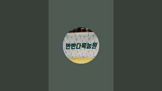 반반다육농원 Succulent Farm 라이브 스트리밍 중