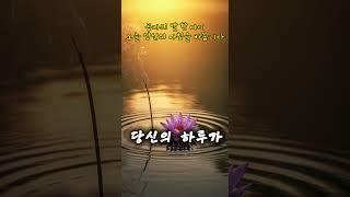 공자의 명언 한 마디가 당신의 아침을 바꿉니다 | 오늘의 한줄 명상 #공자명언 #불경명언 #아침명상 #1분명언 #삶의지혜 #짧은명언 #상처치유 #출근길명상 #유튜브쇼츠
