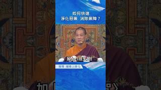 龍德上師：如何快速淨化惡業、消除業障？