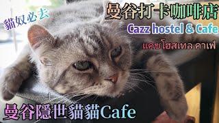 泰國曼谷️│Cazz hostel & Cafe │曼谷貓貓咖啡店│แคซโฮสเทล คาเฟ่ │Thailand│Bangkok│Phra Khanong