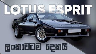 Lotus Esprit Special Edition Car in SriLanka