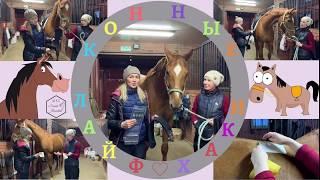 КОННЫЕ ЛАЙФХАКИ