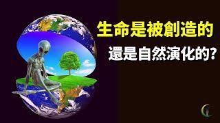 生命進化論和創造論之爭:生命是自然演化的還是被創造的 | 天天觀世界(探秘,宇宙文明,未解之謎,遺傳學,基因,達爾文,孟德爾,豌豆實驗,神創論)