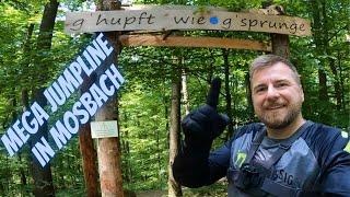 MTB Jumpline für jeden Mountainbiker | g'hupft wie g'sprunge | Flowtrails Mosbach 2023